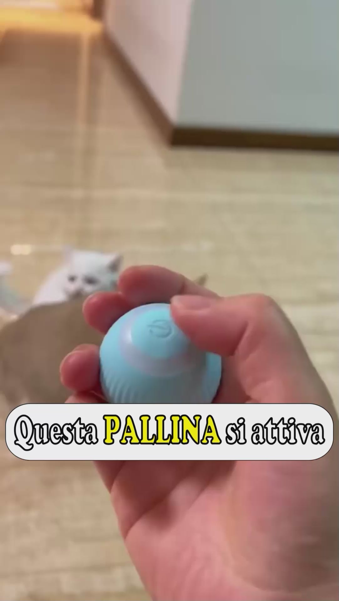 Carica il video: 